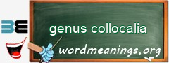 WordMeaning blackboard for genus collocalia